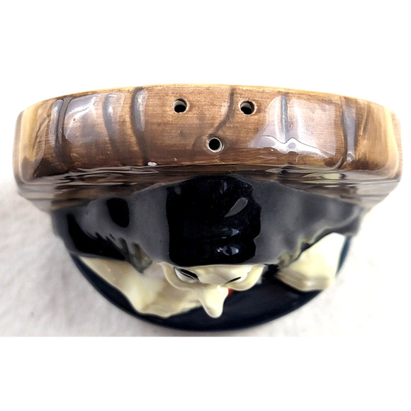 Disney Parks Snow White Wicked Queen Hag Witch Salt & Pepper Shaker Set - Picture 10 of 16